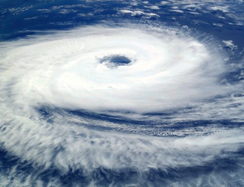 Preparing Your Business for Hurricane Season