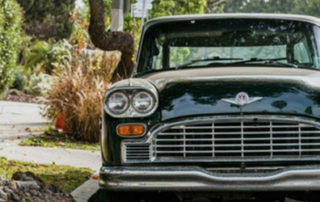 best car insurance palmetto