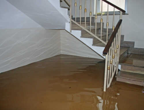 My Home Flooded in 2024: Now What?