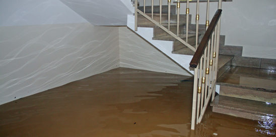 flood insurance agents