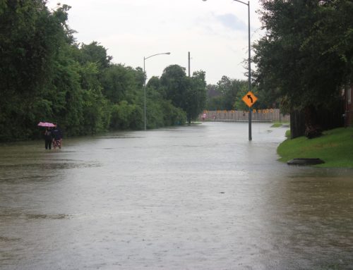 FEMA Flood Maps and Flood Zones