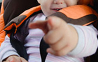 palmetto home insurance