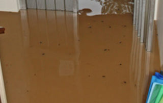 insurance rates flood