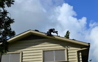 homeowner insurance Palmetto