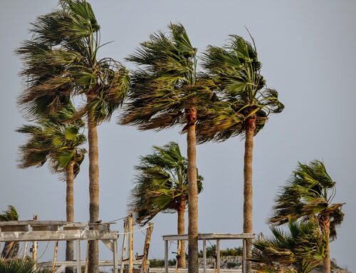 Handling Your Insurance After a Storm