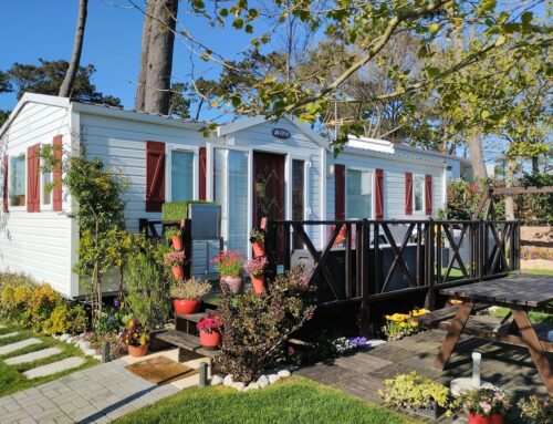 Modular and Mobile Home Insurance in Florida