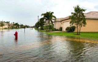 florida based insurance after hurricane