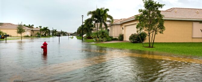 florida based insurance after hurricane