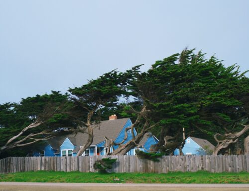 10 Steps to Prepare Your Home for Hurricanes