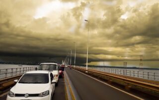 hurricane insurance Palmetto