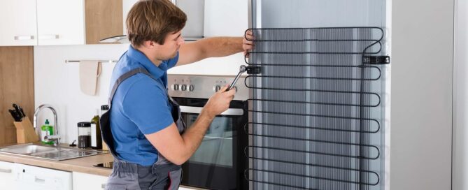 homeowners insurance palmetto