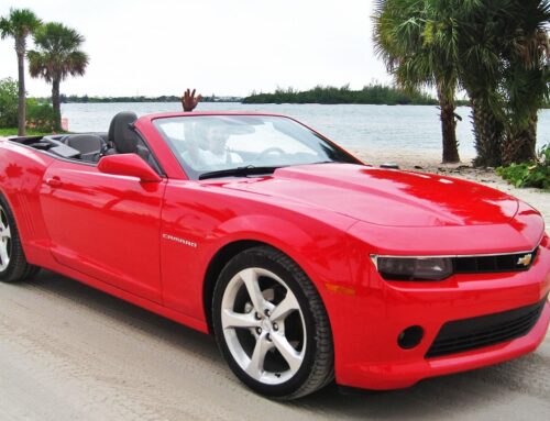 The Top Car Insurance Myths Debunked