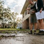 palmetto insurance agency