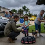 palmetto insurance agency