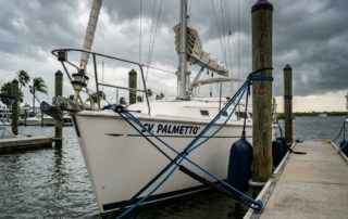 palmetto insurance agency