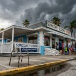 palmetto insurance agency