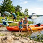 palmetto insurance agency