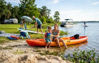 palmetto insurance agency