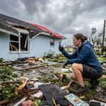 palmetto insurance agency